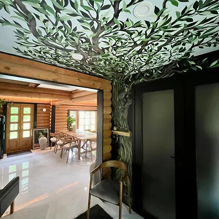 别墅 Uniq Log House, Private Garden, Artist Road 图苏拉